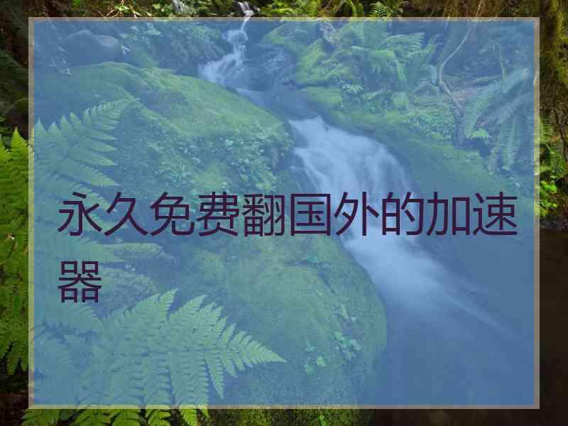 永久免费翻国外的加速器