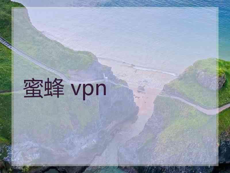 蜜蜂 vpn