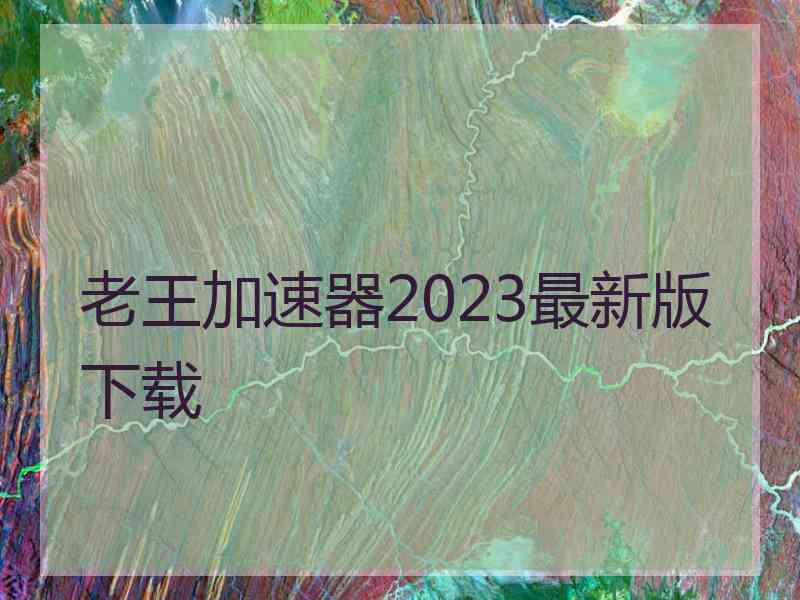 老王加速器2023最新版下载