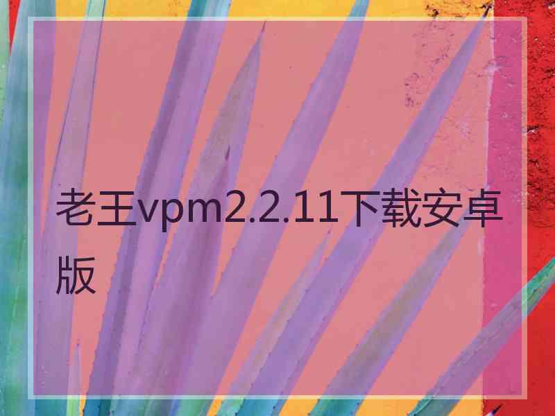 老王vpm2.2.11下载安卓版