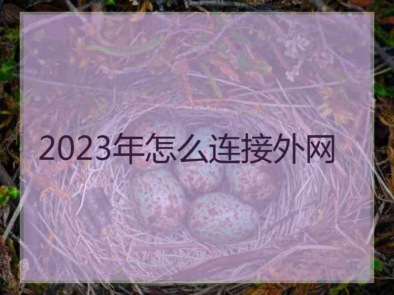 2023年怎么连接外网