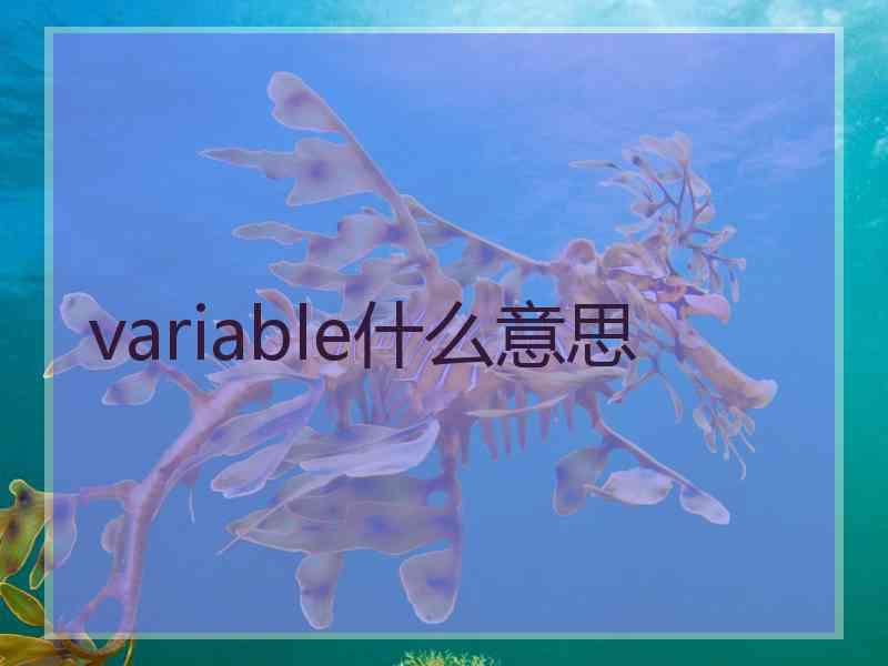 variable什么意思