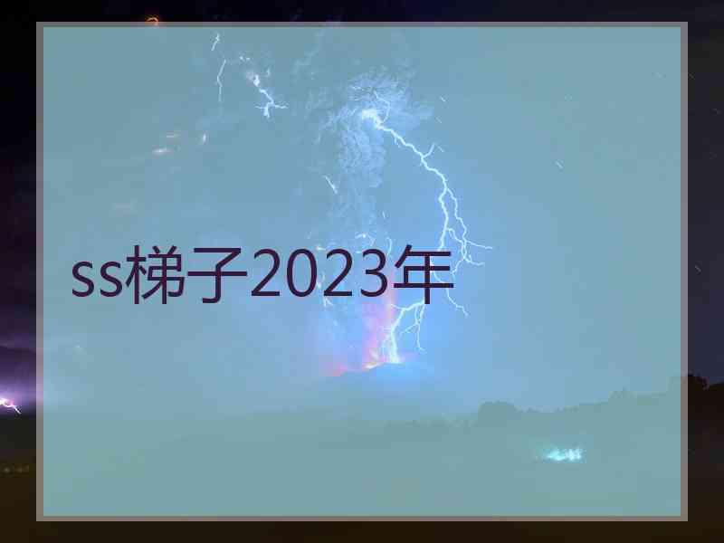 ss梯子2023年