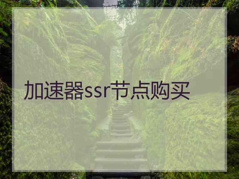 加速器ssr节点购买