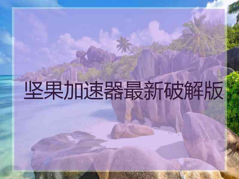 坚果加速器最新破解版