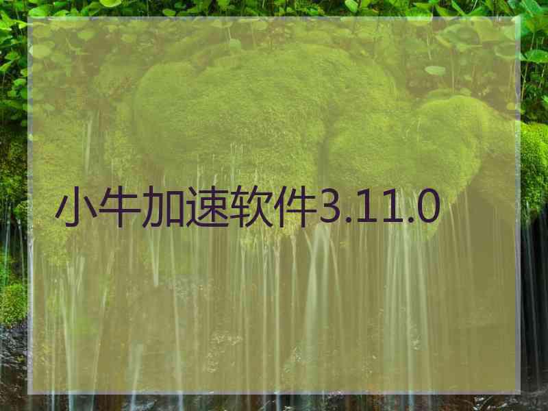 小牛加速软件3.11.0