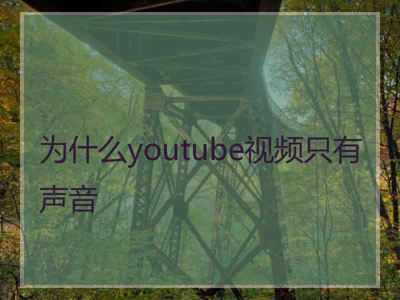 为什么youtube视频只有声音