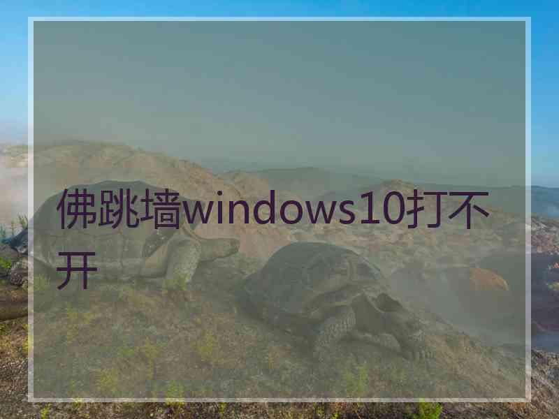 佛跳墙windows10打不开