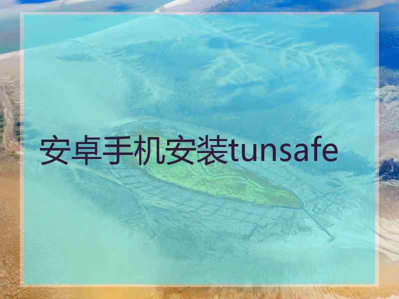 安卓手机安装tunsafe