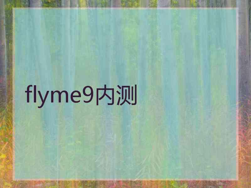 flyme9内测