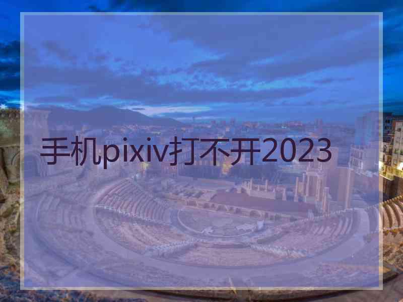 手机pixiv打不开2023