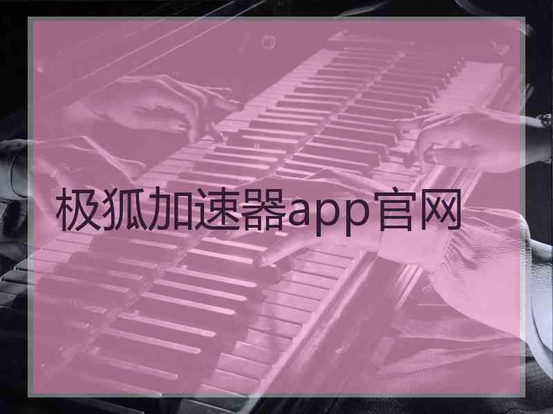 极狐加速器app官网