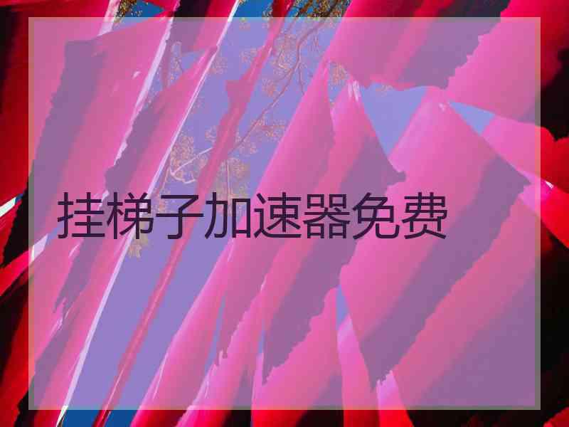 挂梯子加速器免费