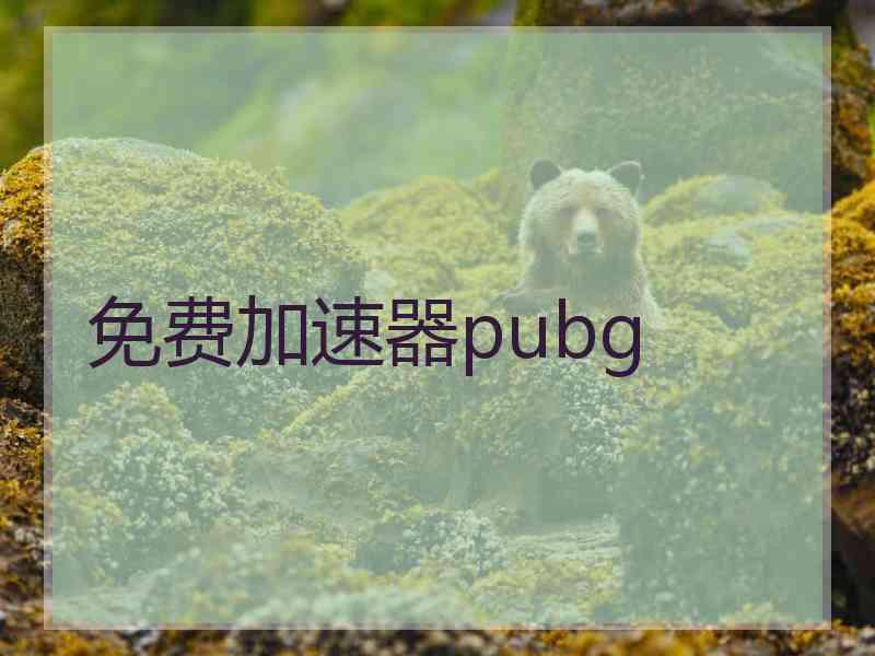 免费加速器pubg