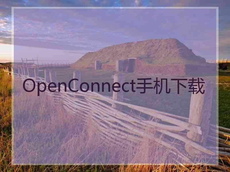 OpenConnect手机下载