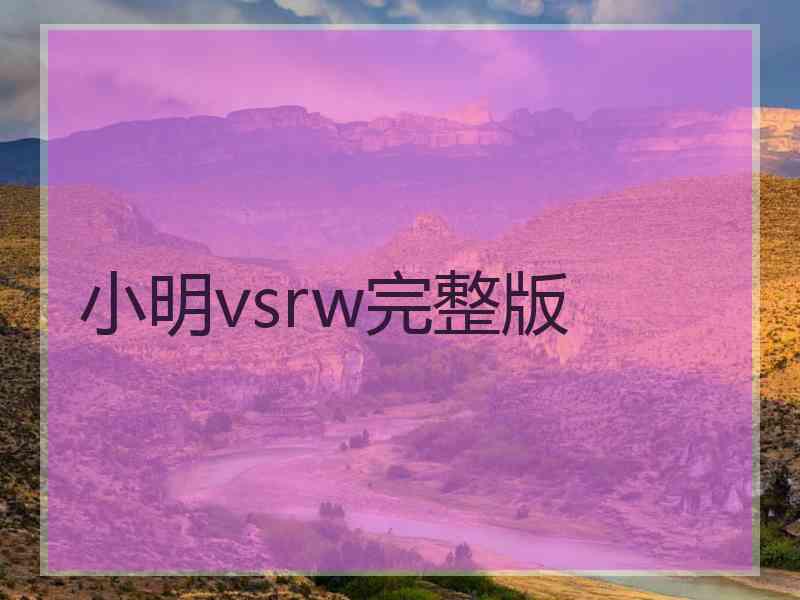 小明vsrw完整版