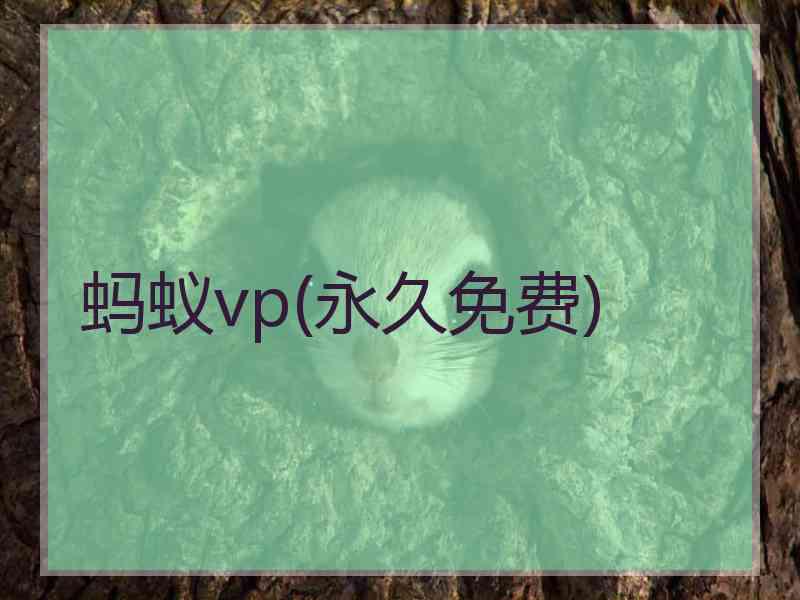 蚂蚁vp(永久免费)