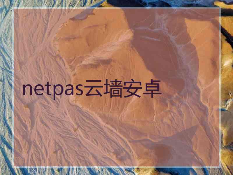 netpas云墙安卓