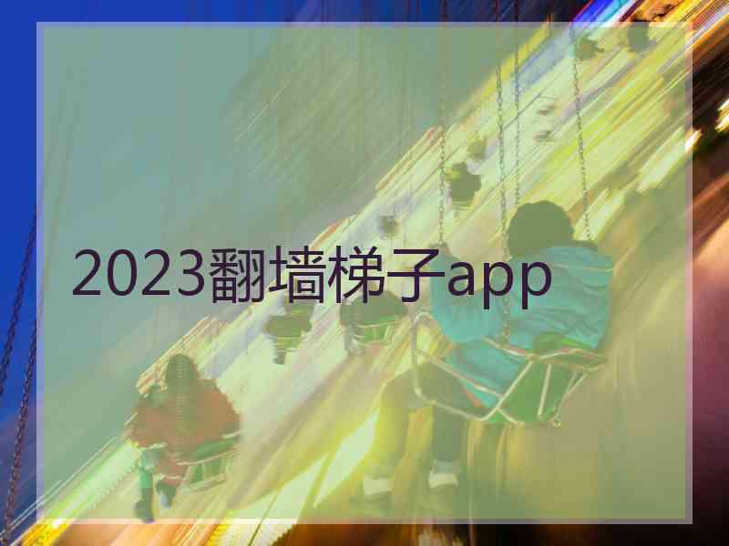 2023翻墙梯子app