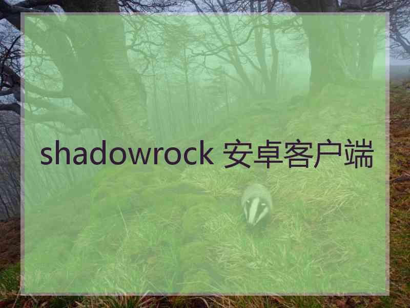 shadowrock 安卓客户端