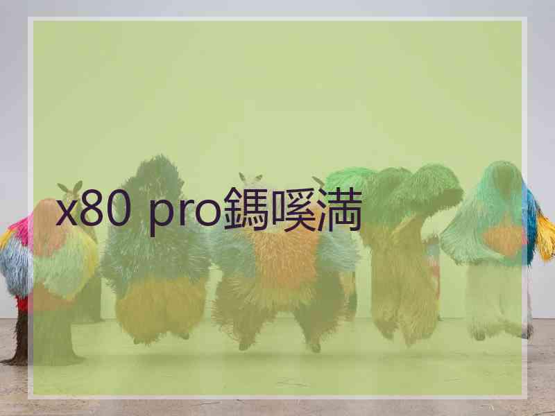 x80 pro鎷嗘満