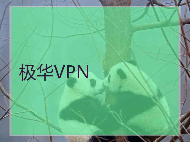 极华VPN