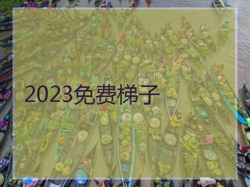 2023免费梯子