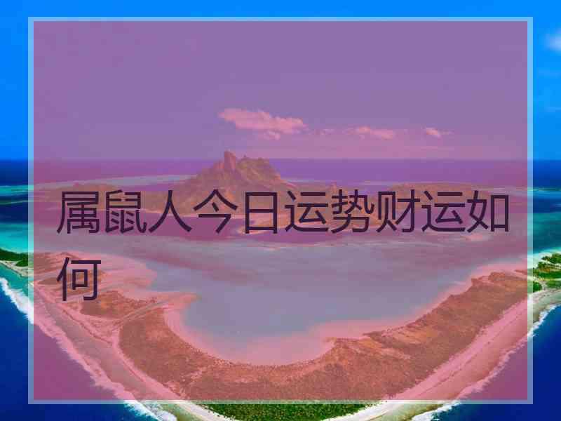 属鼠人今日运势财运如何