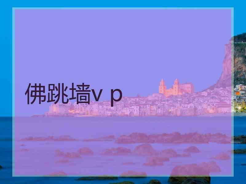 佛跳墙v p