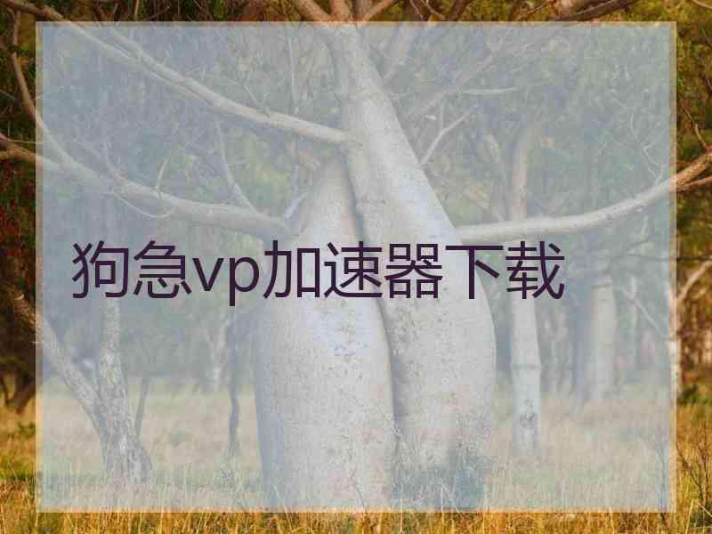 狗急vp加速器下载