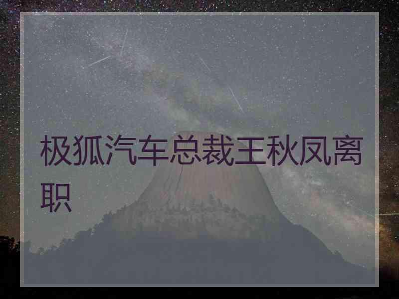 极狐汽车总裁王秋凤离职