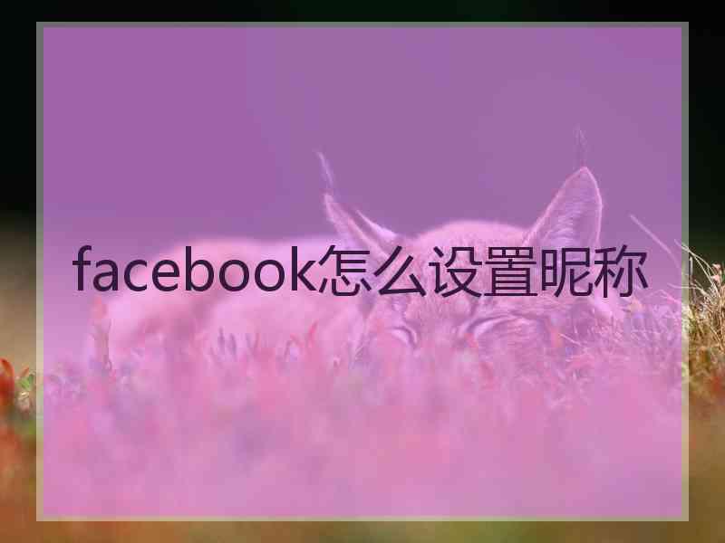 facebook怎么设置昵称