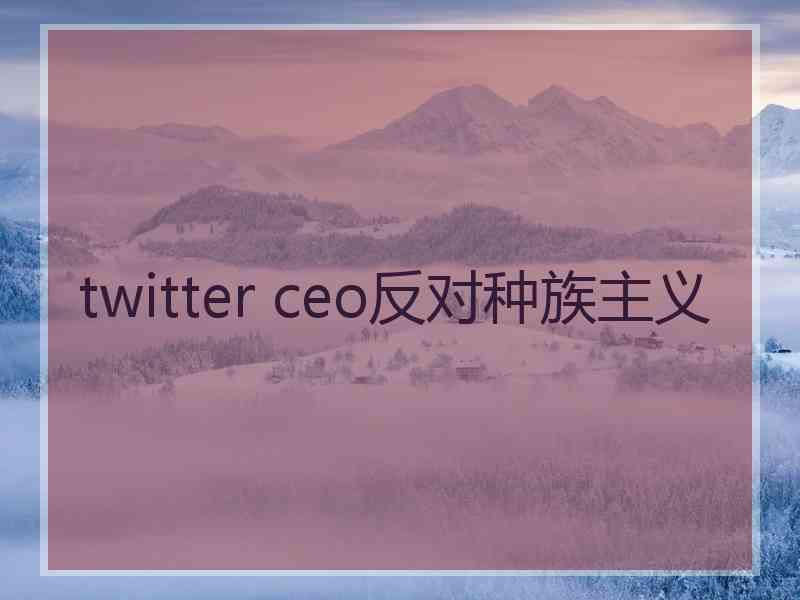 twitter ceo反对种族主义