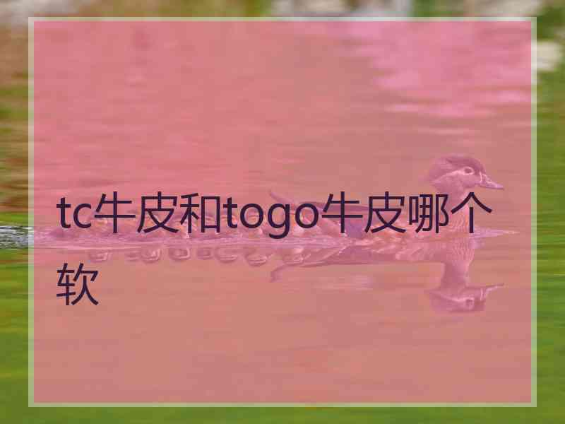 tc牛皮和togo牛皮哪个软