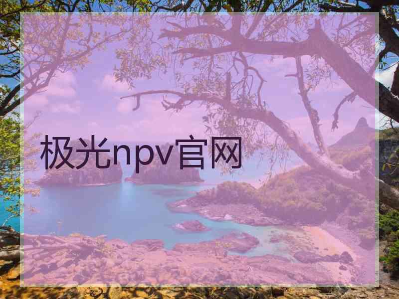 极光npv官网