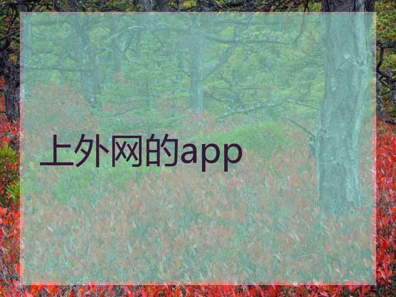 上外网的app