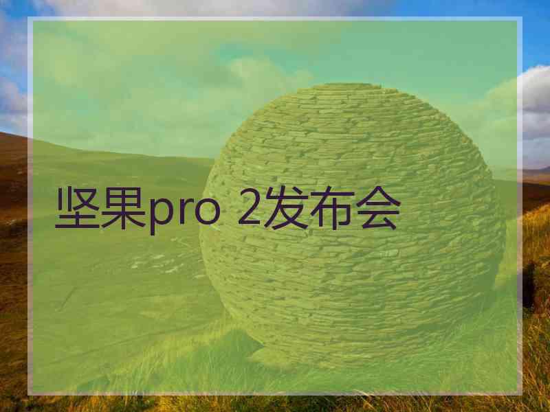 坚果pro 2发布会