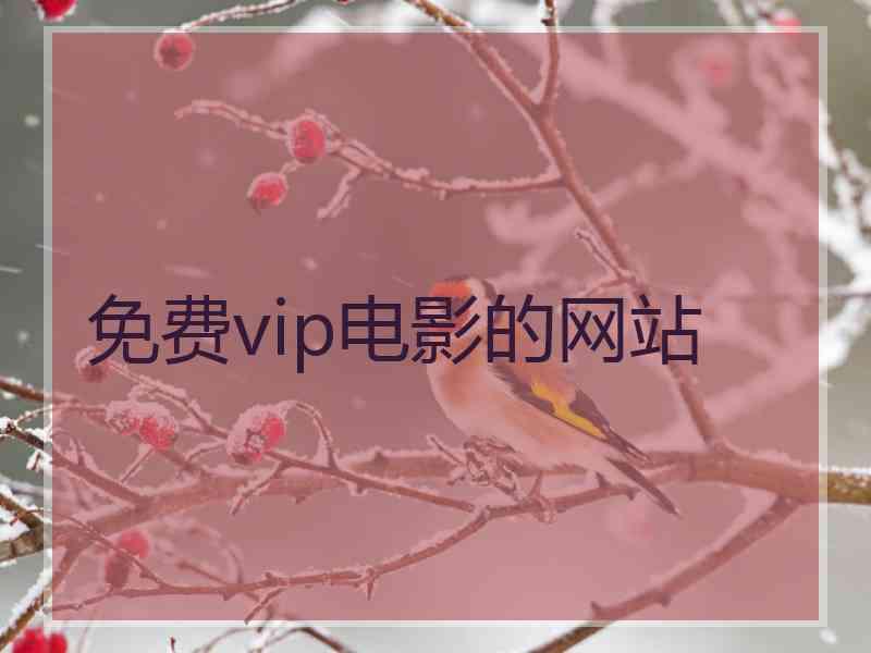 免费vip电影的网站