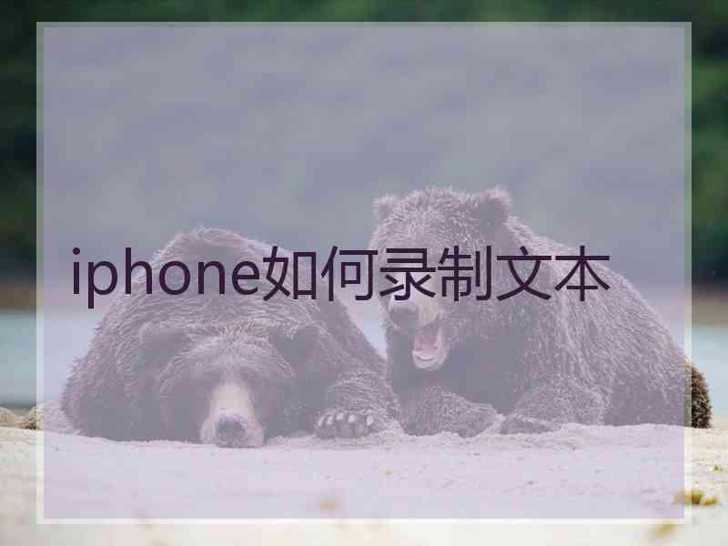 iphone如何录制文本