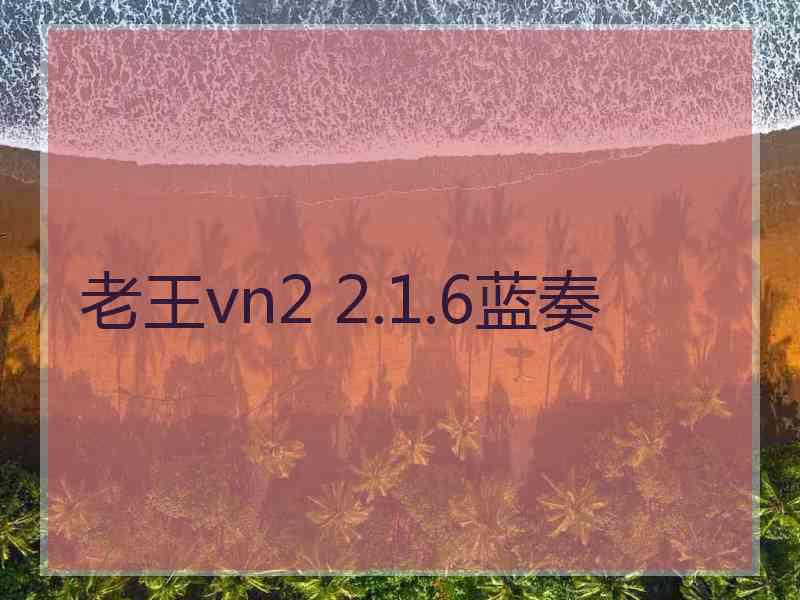 老王vn2 2.1.6蓝奏