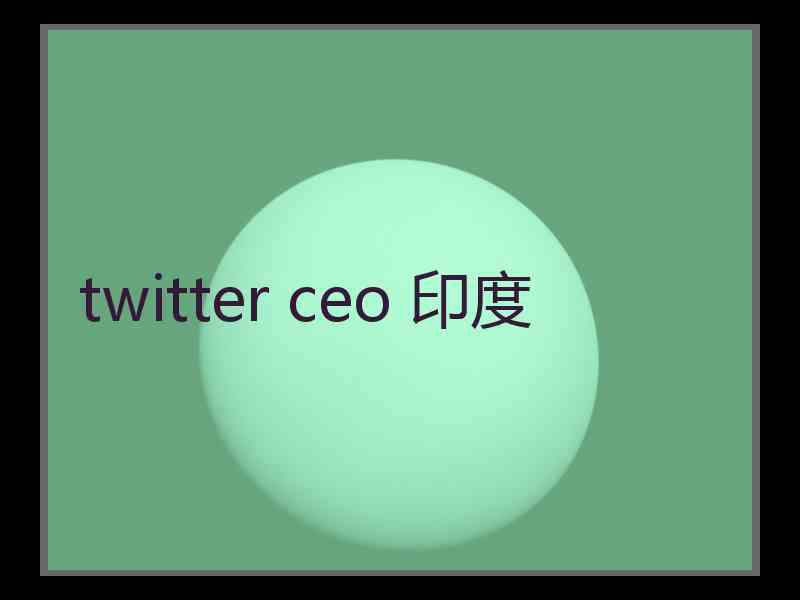 twitter ceo 印度