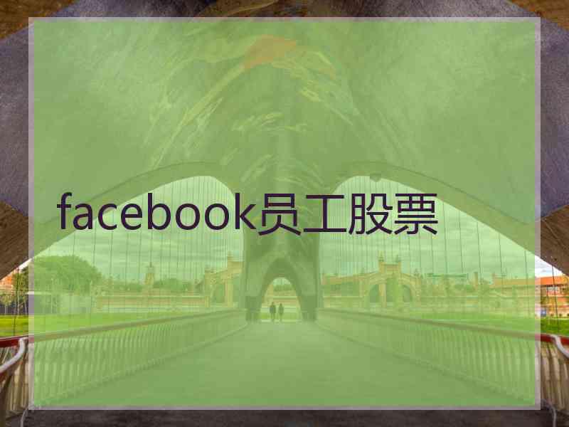 facebook员工股票