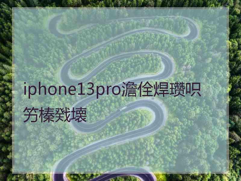 iphone13pro澹佺焊瓒呮竻榛戣壊