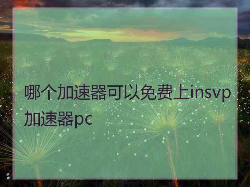 哪个加速器可以免费上insvp加速器pc