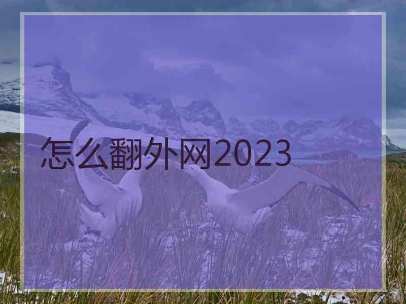 怎么翻外网2023