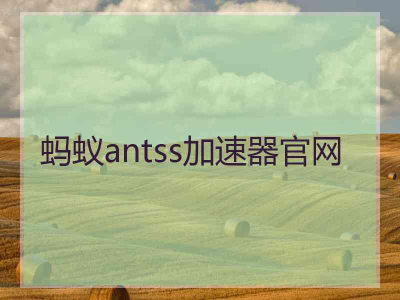 蚂蚁antss加速器官网