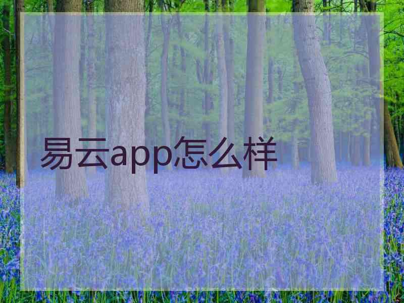 易云app怎么样