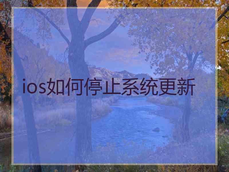 ios如何停止系统更新