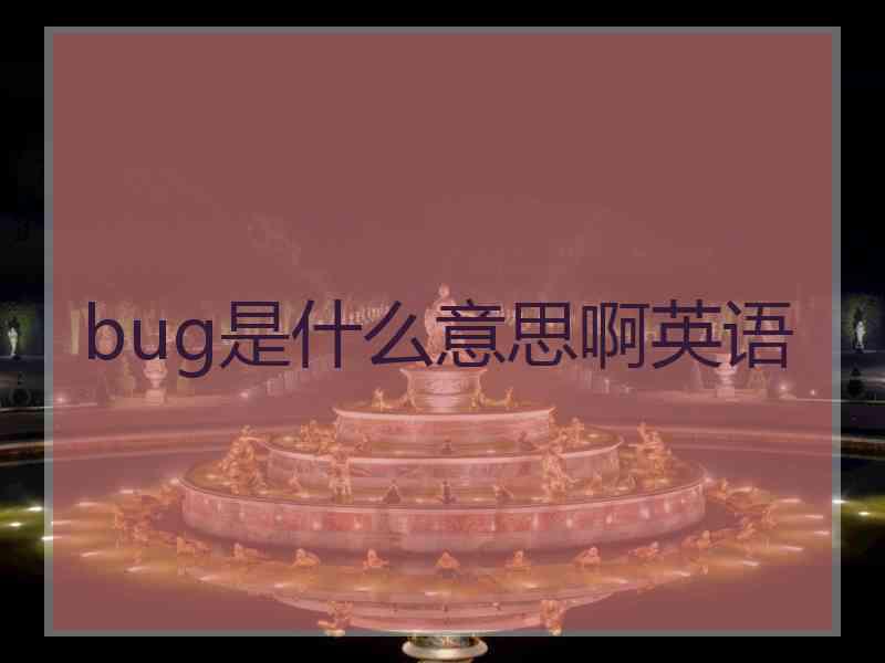 bug是什么意思啊英语