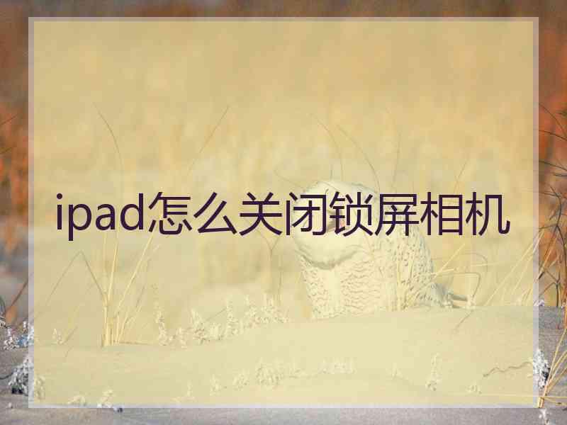 ipad怎么关闭锁屏相机